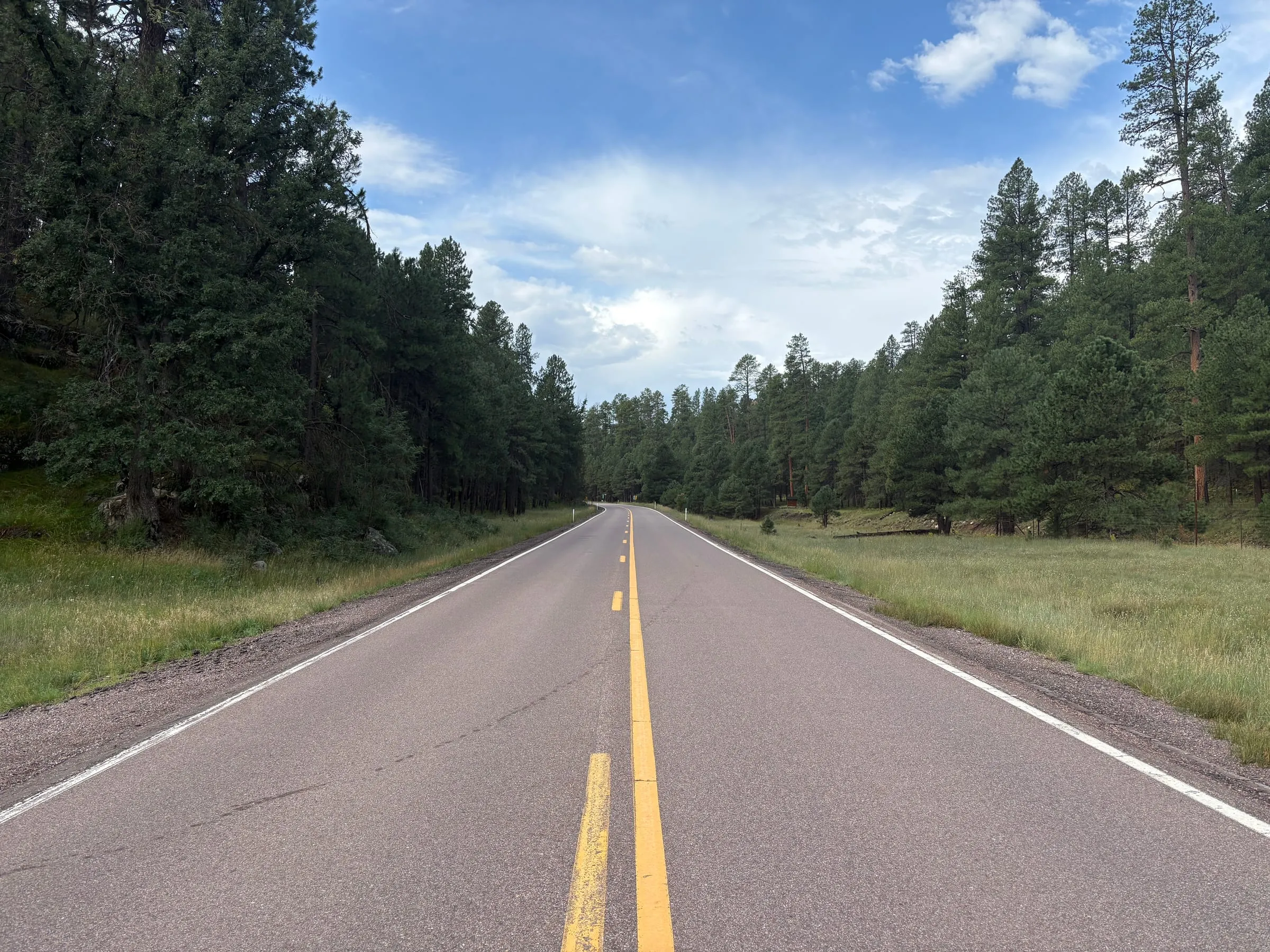 The two-lane road up to the lodge, running straight through thick ponderosa pine forest under a wide sky. Grass meadows open on both sides of it.