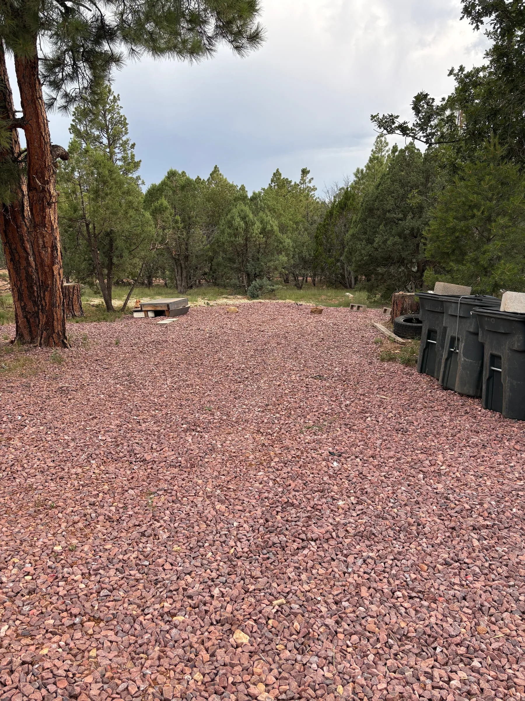 A level, graveled camp-trailer pad under the pines, with a trailer parked on it.
